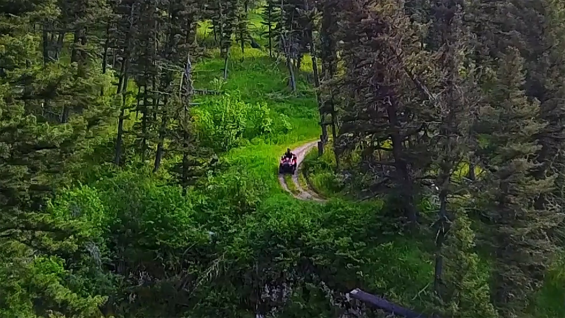 ATVing through the woods