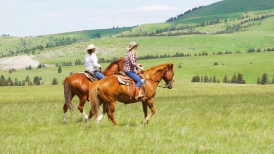 Horseback through meadows