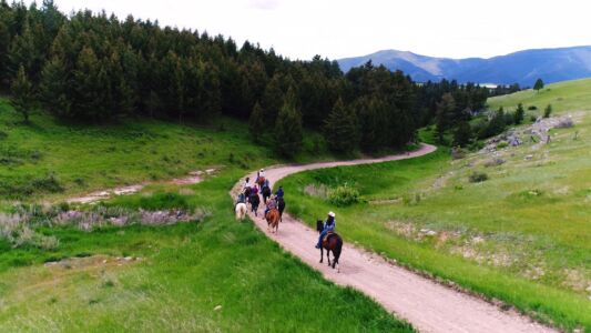 Horseback Trail Rides