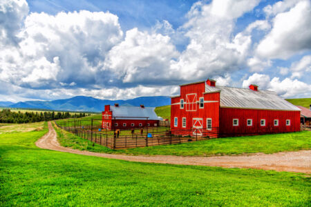 Equestrian Barns