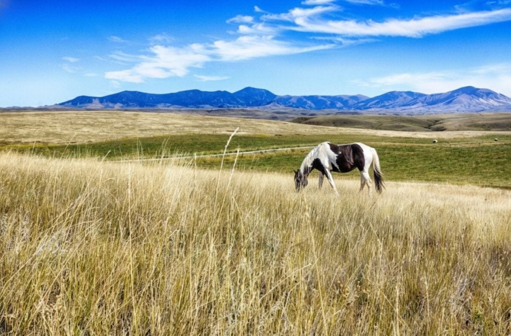 Tatonka Ranch | Ranches at Belt Creek